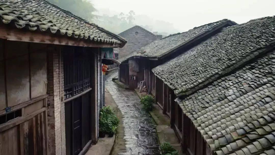 亚马逊河到底有多可怕？为什么连当地人都不敢在里面游泳？游戏画面